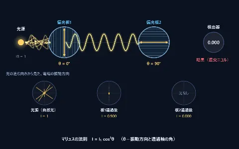 偏光（偏光板とマリュスの法則）の画面
