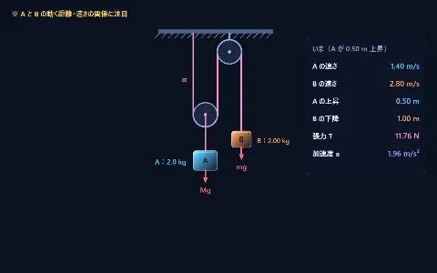 良問 力学23：定滑車と動滑車につるしたおもりの画面