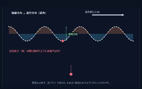 横波と縦波の画面